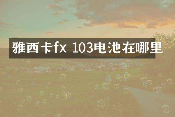 雅西卡fx 103电池在哪里