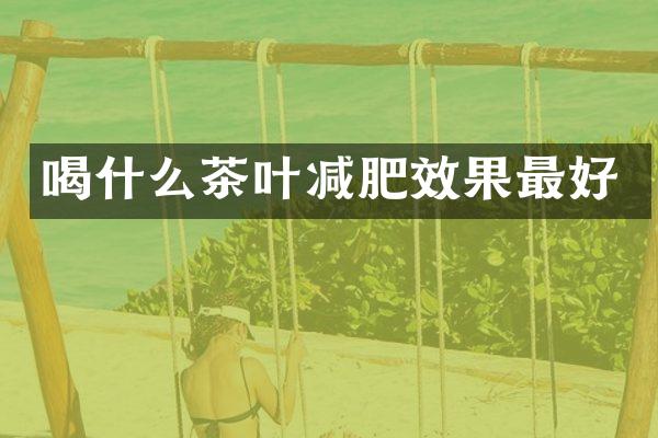 喝什么茶叶减肥效果最好