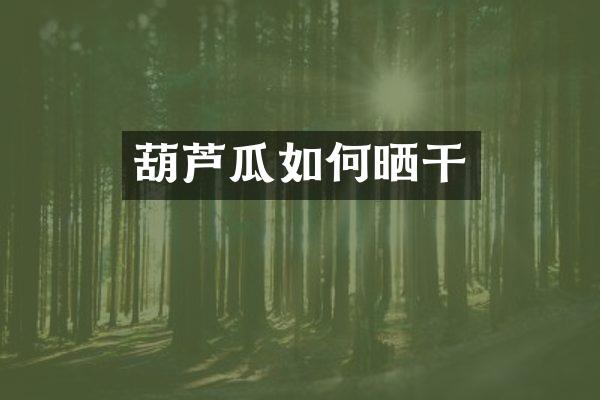 葫芦瓜如何晒干