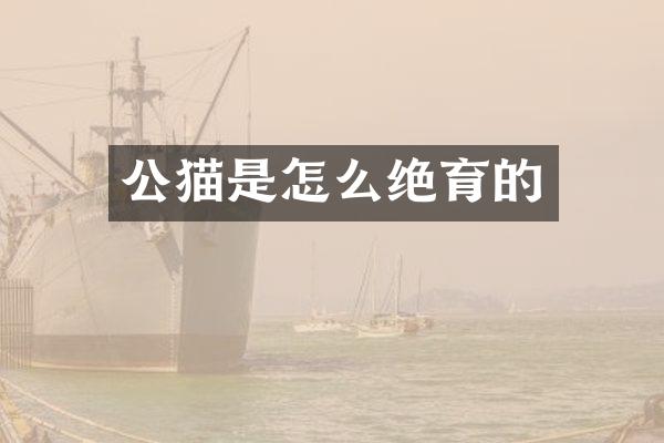 公猫是怎么绝育的