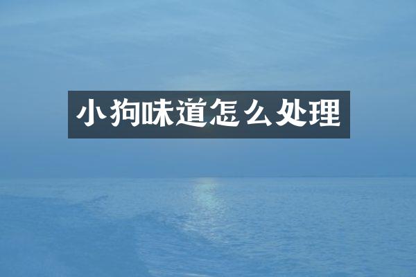 小狗味道怎么处理
