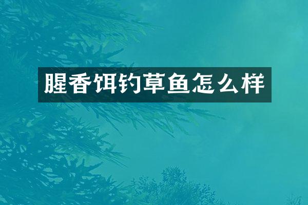 腥香饵钓草鱼怎么样