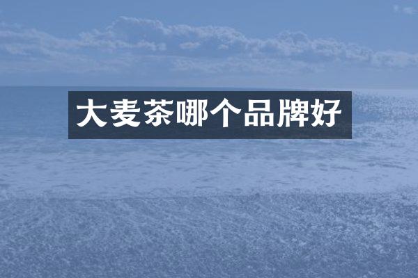 大麦茶哪个品牌好