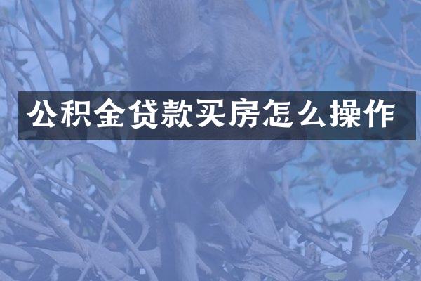 公积金贷款买房怎么操作
