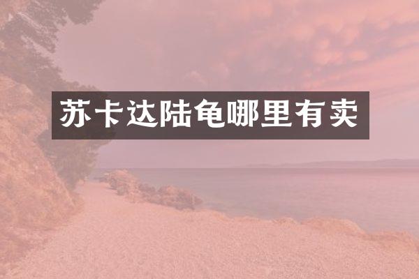 苏卡达陆龟哪里有卖