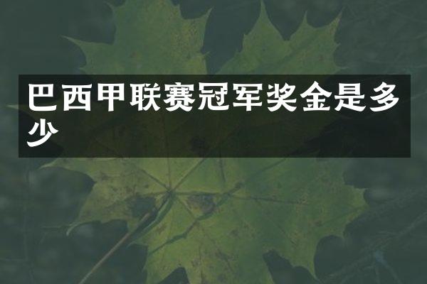 巴西甲联赛冠军奖金是多少