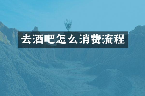 去酒吧怎么消费流程