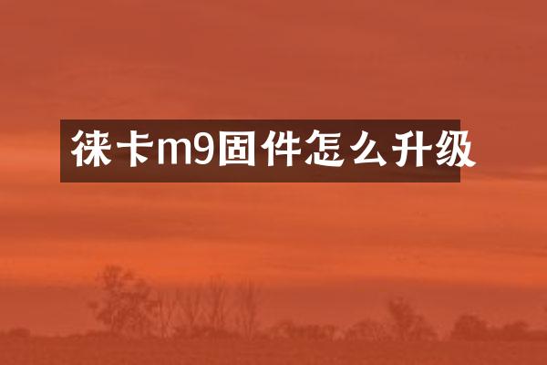 徕卡m9固件怎么升级