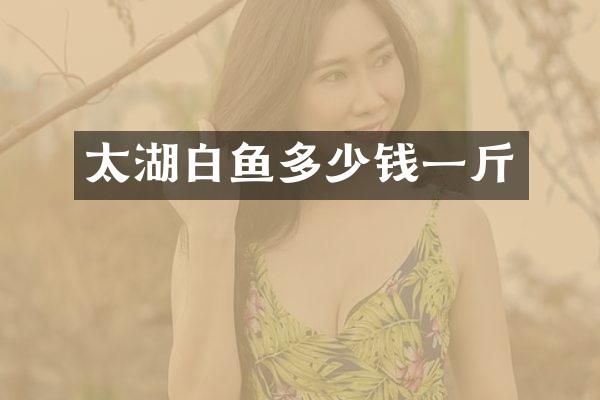 太湖白鱼多少钱一斤