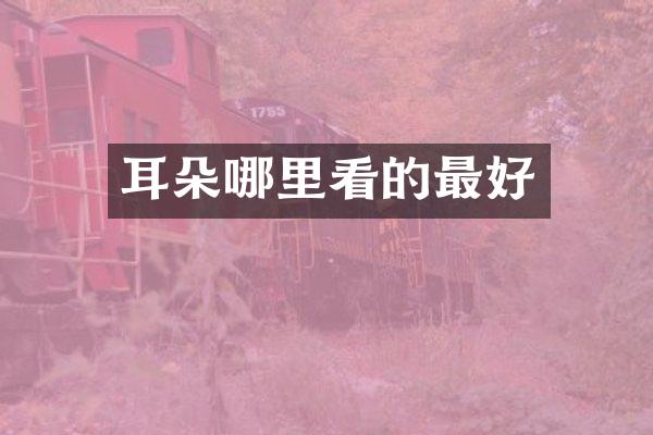 耳朵哪里看的最好