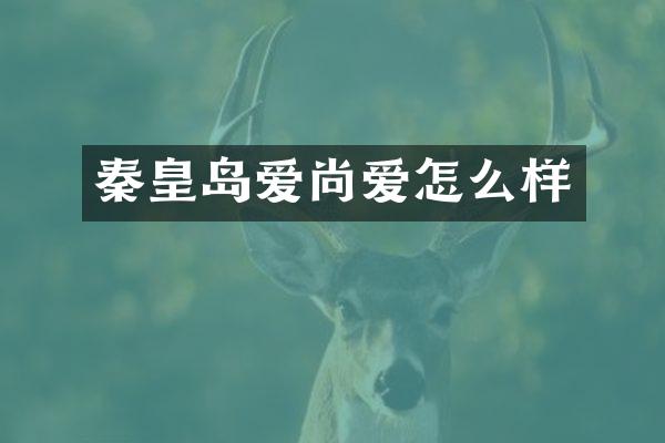 秦皇岛爱尚爱怎么样