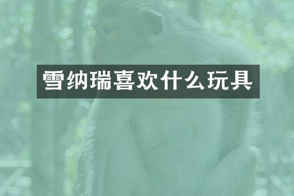 雪纳瑞喜欢什么玩具