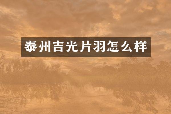 泰州吉光片羽怎么样