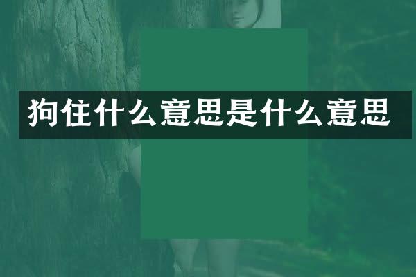 狗住什么意思是什么意思