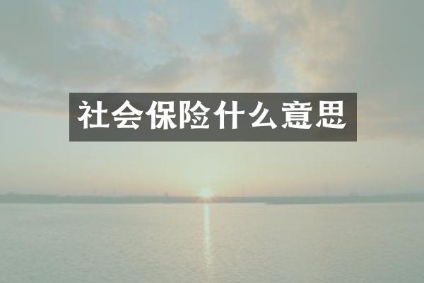 社会保险什么意思