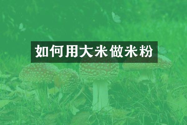 如何用大米做米粉