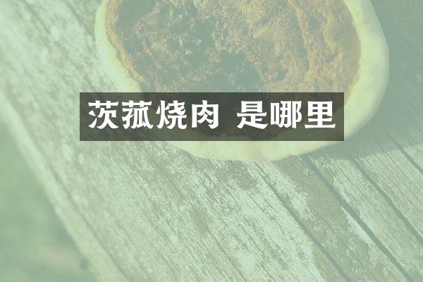 茨菰烧肉 是哪里