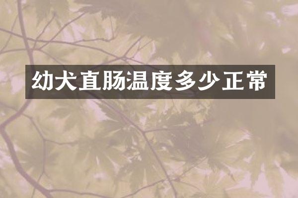 幼犬直肠温度多少正常