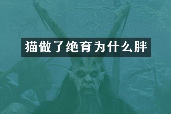 猫做了绝育为什么胖