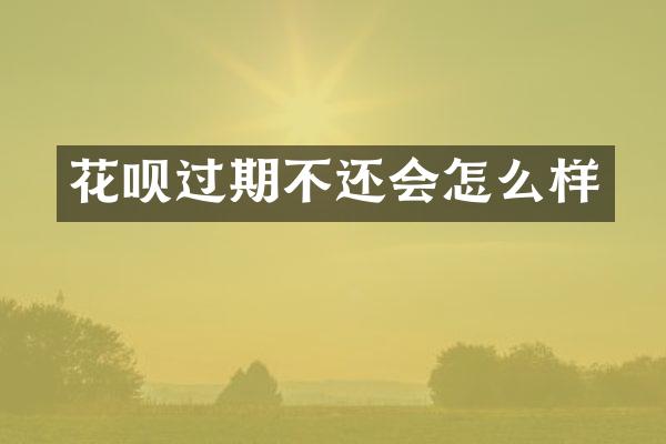 花呗过期不还会怎么样