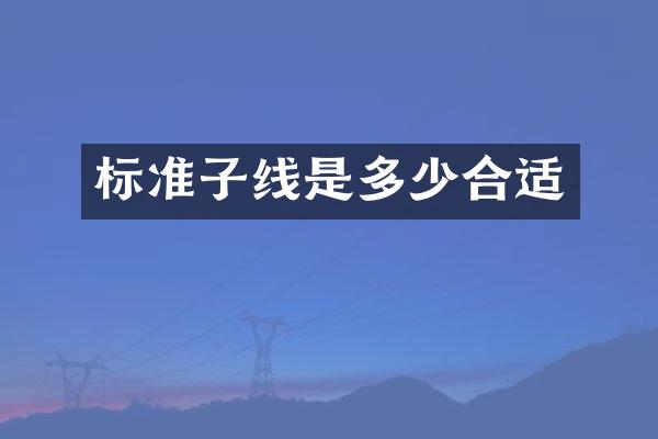 标准子线是多少合适
