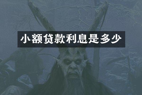 小额贷款利息是多少