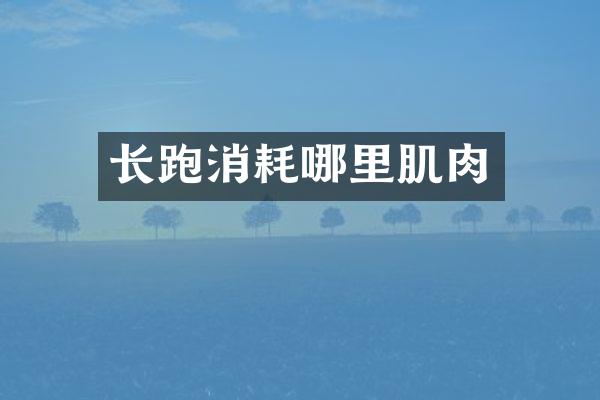 长跑消耗哪里肌肉