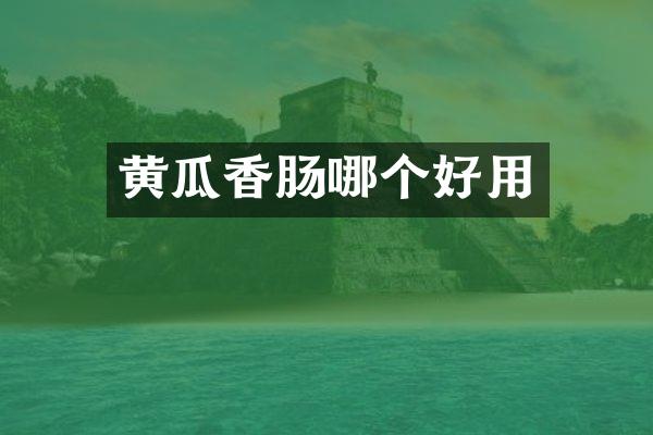 黄瓜香肠哪个好用