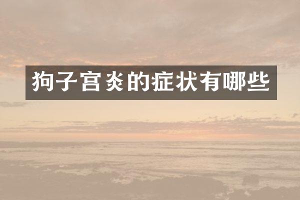 狗子宫炎的症状有哪些