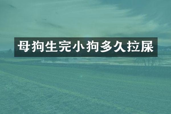 母狗生完小狗多久拉屎