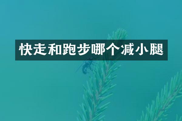 快走和跑步哪个减小腿