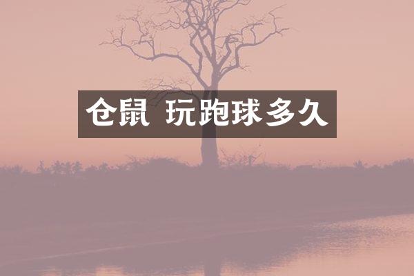 仓鼠 玩跑球多久