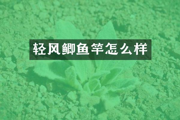 轻风鲫鱼竿怎么样