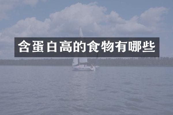 含蛋白高的食物有哪些