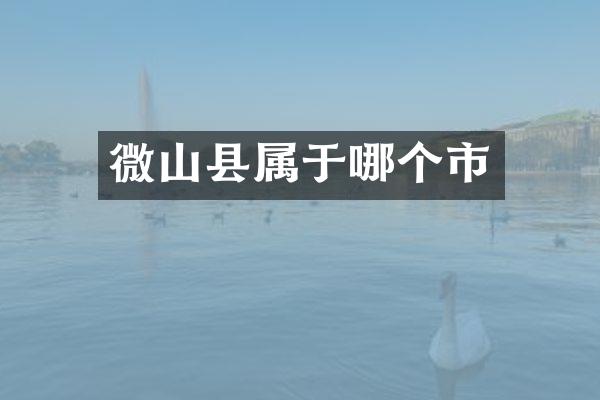 微山县属于哪个市