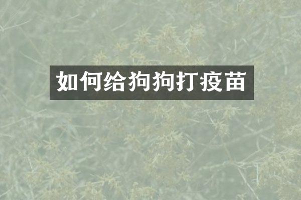 如何给狗狗打疫苗