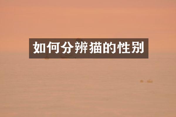 如何分辨猫的性别