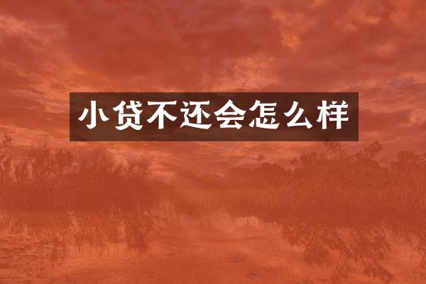 小贷不还会怎么样