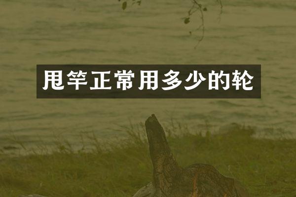 甩竿正常用多少的轮