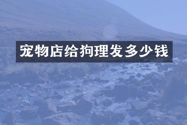 宠物店给狗理发多少钱