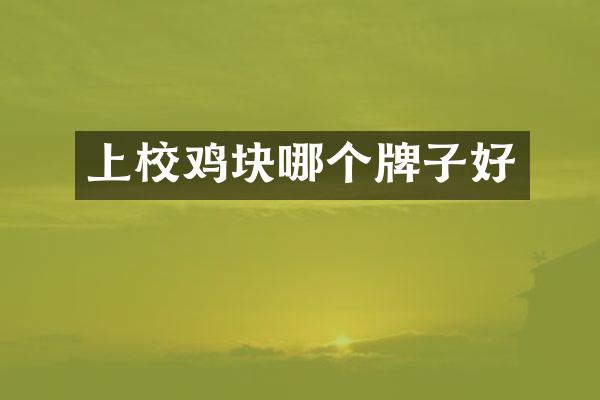 上校鸡块哪个牌子好