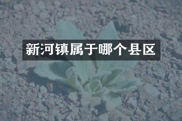 新河镇属于哪个县区