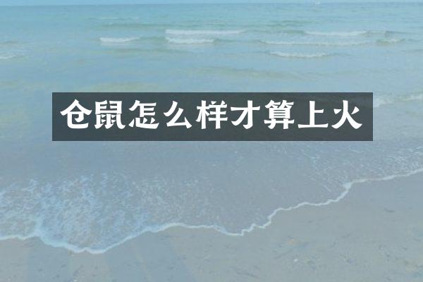 仓鼠怎么样才算上火