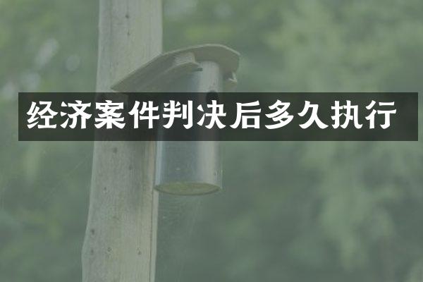 经济案件判决后多久执行