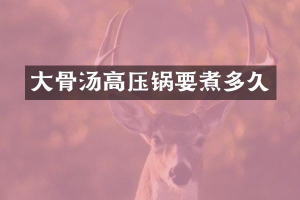 大骨汤高压锅要煮多久