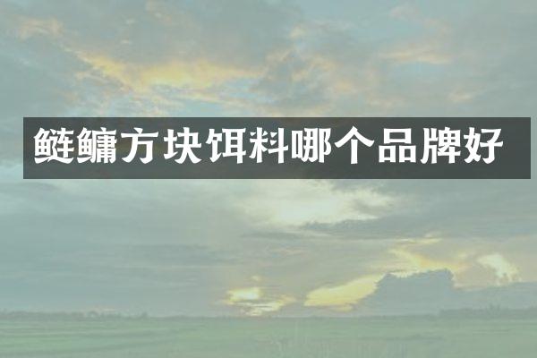 鲢鳙方块饵料哪个品牌好