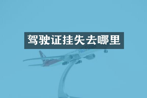 驾驶证挂失去哪里