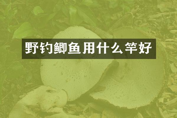野钓鲫鱼用什么竿好