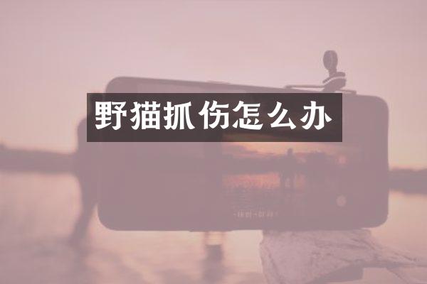 野猫抓伤怎么办