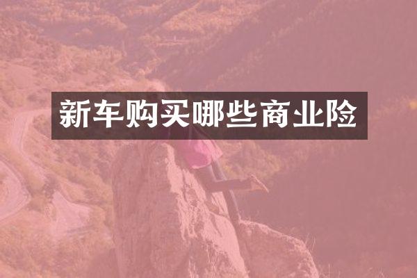 新车购买哪些商业险